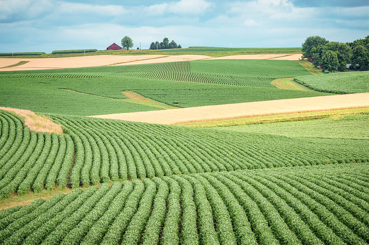 Iowa State University 2022 Farmland Value